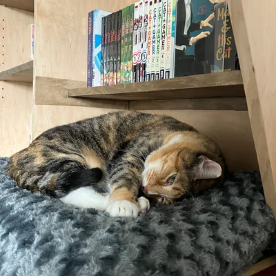 Sophie